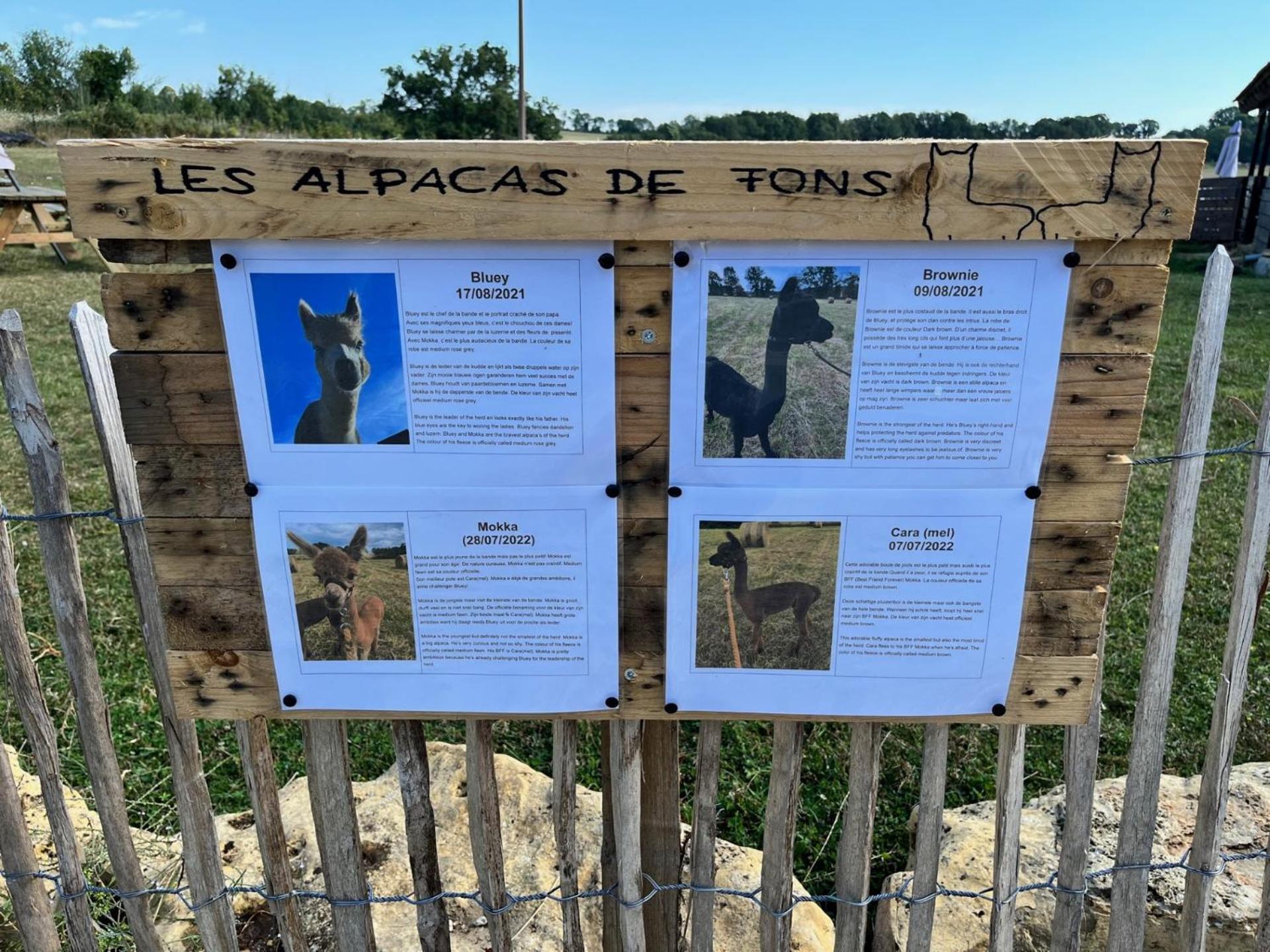Gite La Borie Fons  Exterior foto